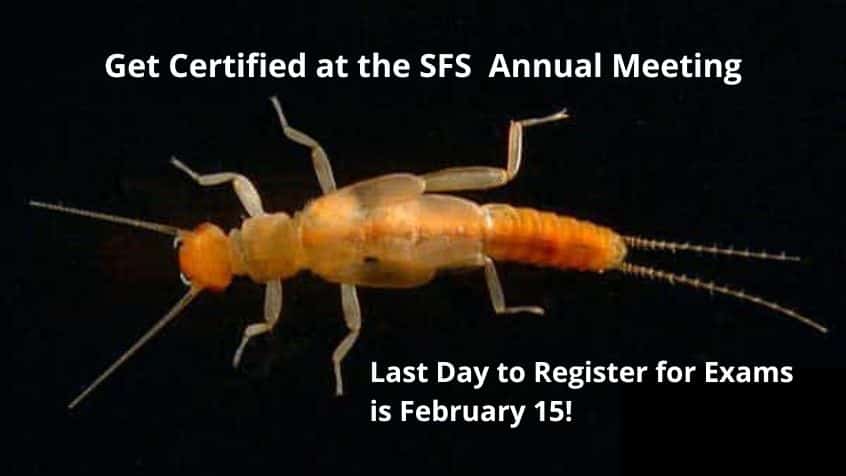 Get certified at the SFS Annual Meeting