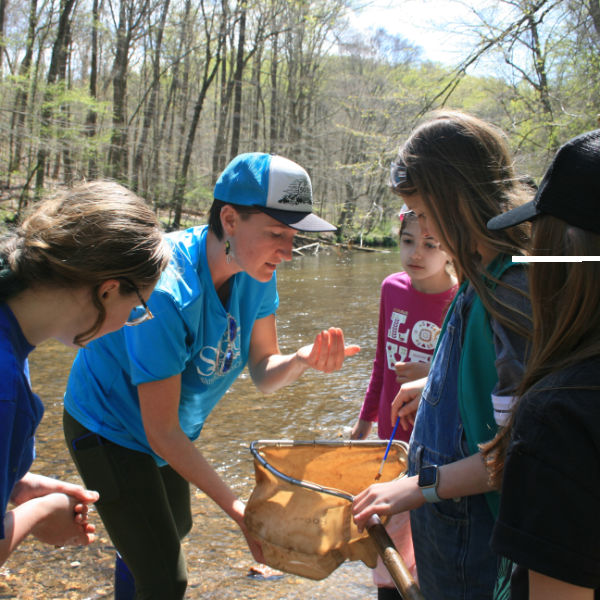 An educator and a group of girls stand in a stream while collecting aquatic insects.