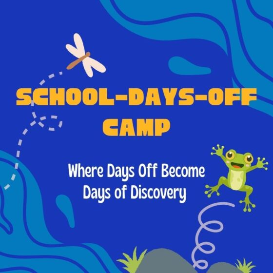 School-Days-Off Camp: Where Days Off Become Days of Discovery.