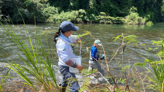Two scientists collect a streamwater sample in Belize.