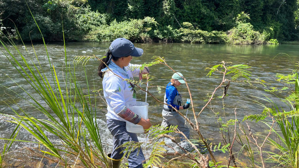 Two scientists collect a streamwater sample in Belize.