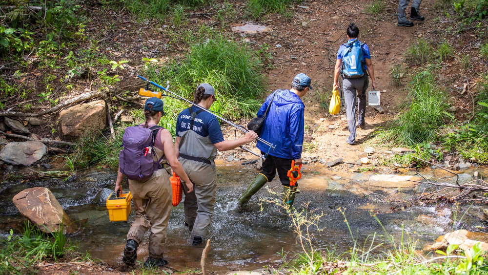 Four Stroud Center scientists cross a shallow stream in Belize.