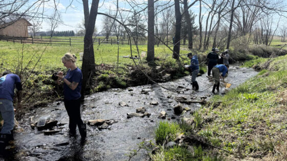 Teachers perform a stream study as part of a workshop.
