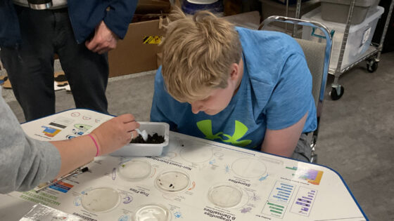 A student learns to identify stream insects from a leaf pack study.