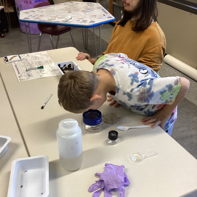 A student examines stream insects under a MacroLens.