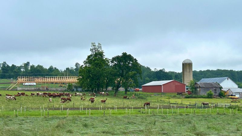 Improved farm management practices like fencing livestock out of streams and planting riparian buffers are key to successful stream restoration.