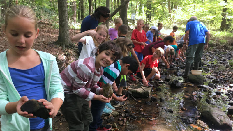Students examining rocks in a small stream.