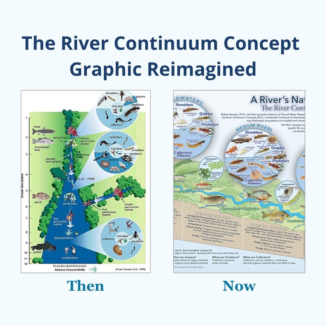 Subscribe to freshwater e-news to receive the new River Continuum Concept poster.