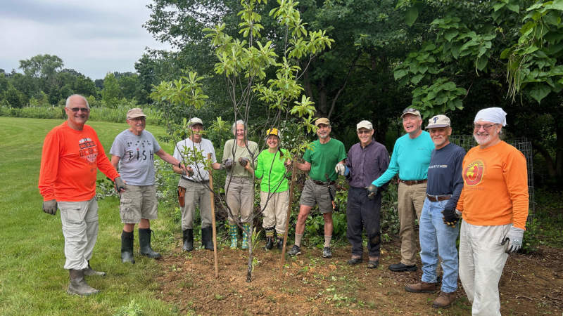 Church members planted a rescued Franklin tree in a restored forest.