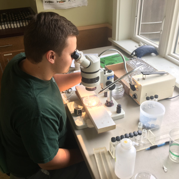 Trevor Hall as a Stroud Center intern in 2016.