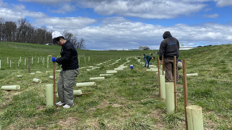 Volunteers plant New Bolton Center fodder shrubs.