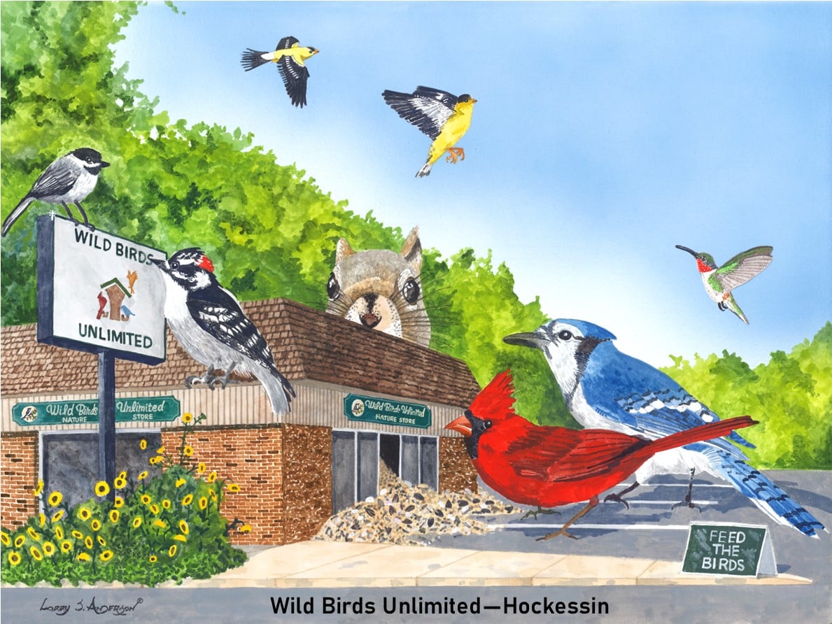Wild Birds Unlimited Hockessin.