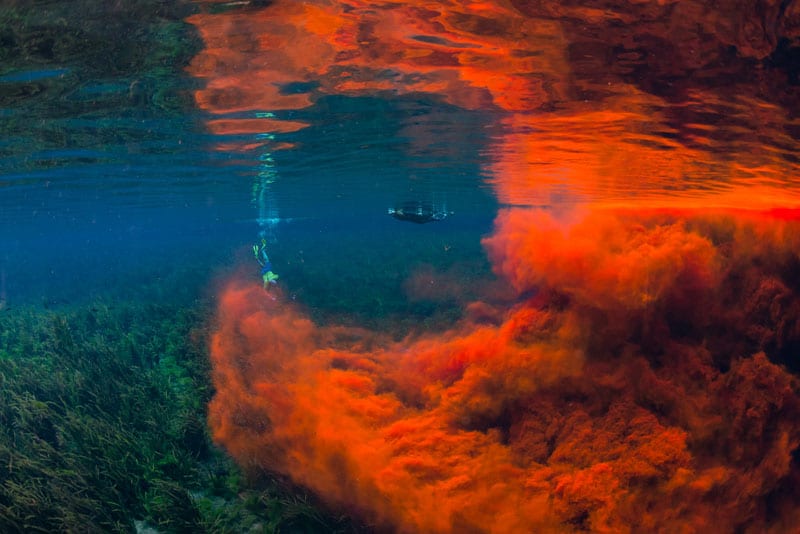 Colorful dye is released into a freshwater spring to study hydrology.
