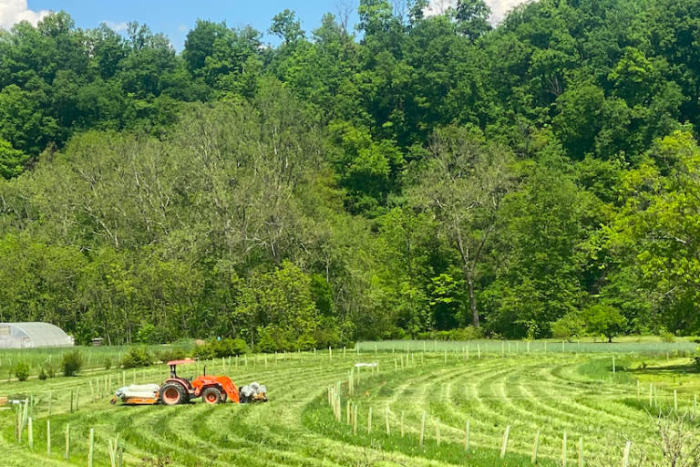 A new multifunctional riparian buffer planting at Village Acres Farm in Mifflintown, Pennsylvania.