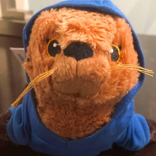 A stuffed sea lion toy wearing a blue hoodie.