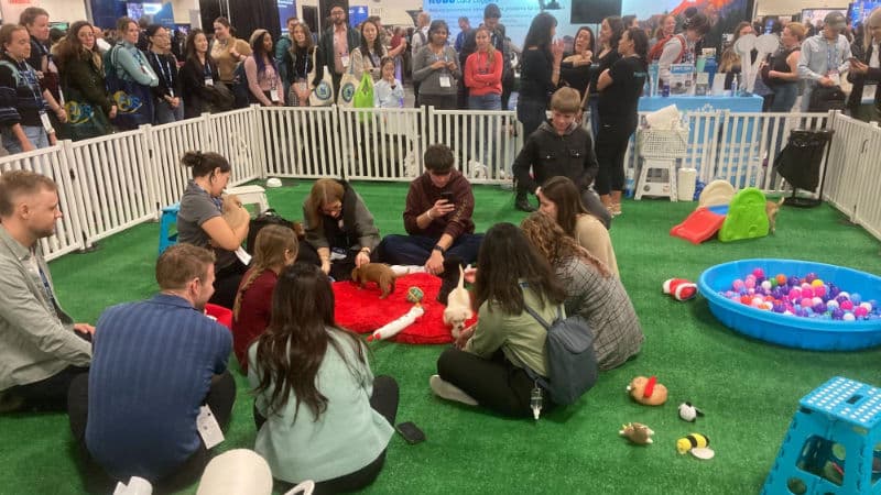 Conference attendees enjoyed playtime with puppies.