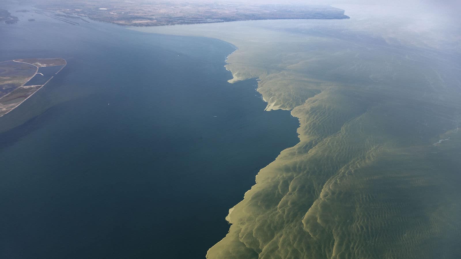 Aerial view of a harmful algal bloom in Lake Erie: September 25, 2017