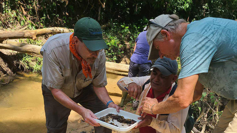 Three men examine aquatic insects collected in a Belize stream.