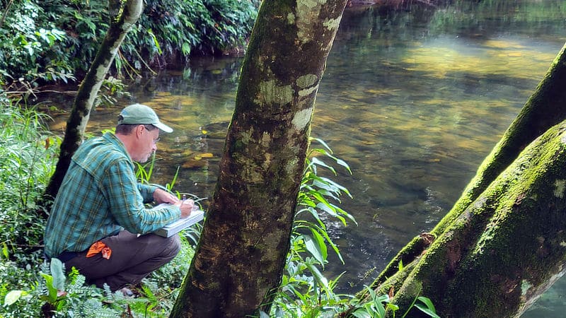 A scientist records data about a stream in Belize.