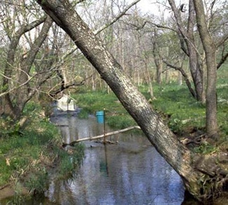 Long-Term Research in Environmental Biology: White Clay Creek, Pennsylvania