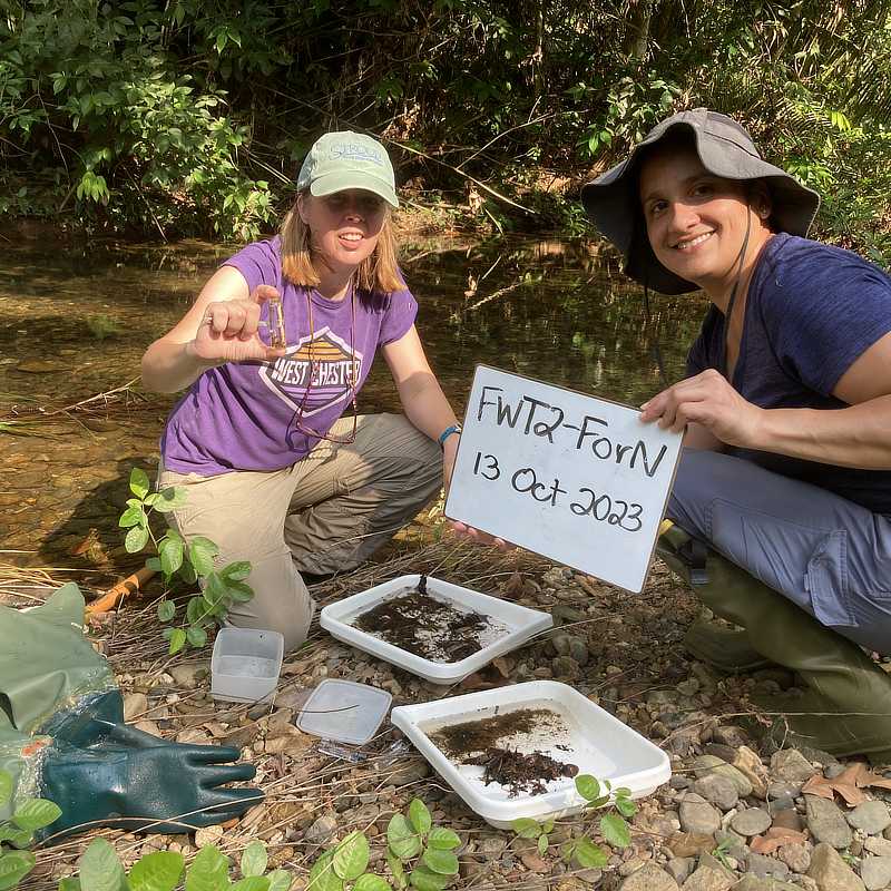 Two scientists sample macroinvertebrates in a Belize stream.