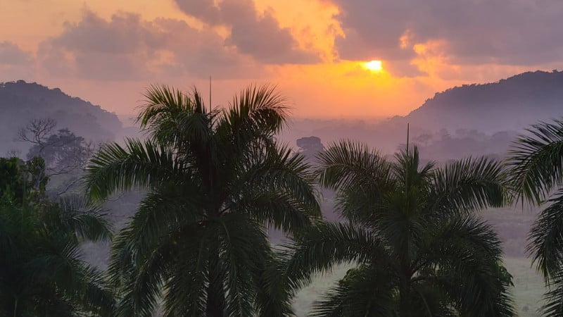 Sunset over palm trees in Belize with fog over the mountains beyond.