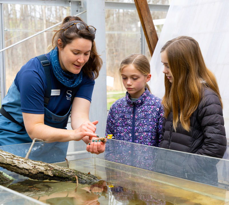 A freshwater scientist shows a crayfish to two girls.