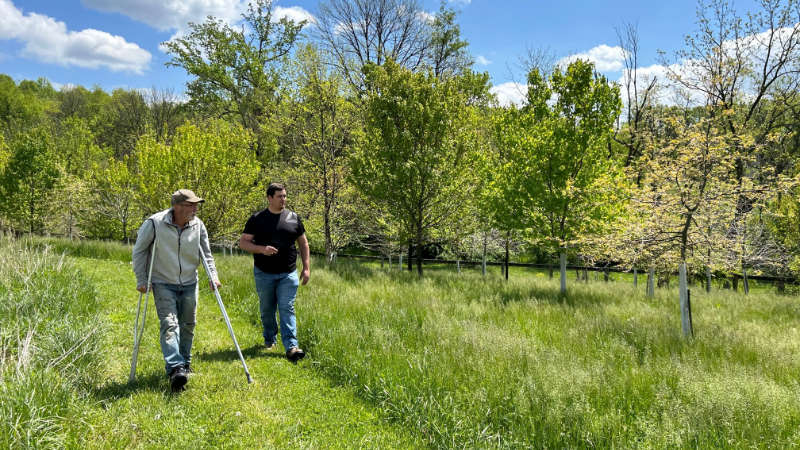 Two men walking, one using crutches, on a grassy path near a streamside forest planting.