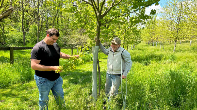 Calen Wylie and Tom Best inspect a tree in a riparian buffer