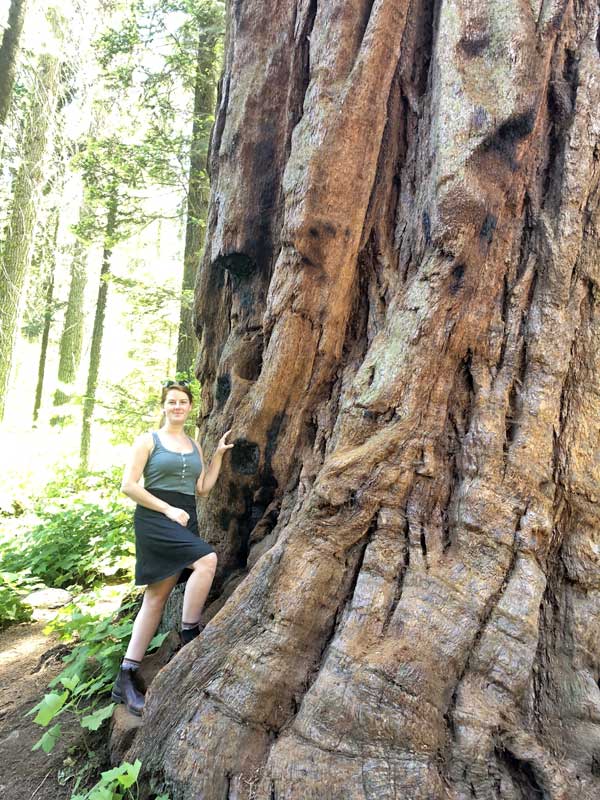 Katie Billé standing next to a giant sequoia in Sequoia National Park, California.