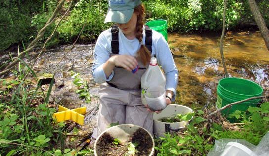 Katie Billé working with a composite macroinvertebrate sample next to a stream.