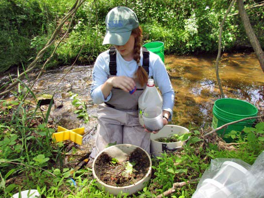 Katie Billé working with a composite macroinvertebrate sample next to a stream.