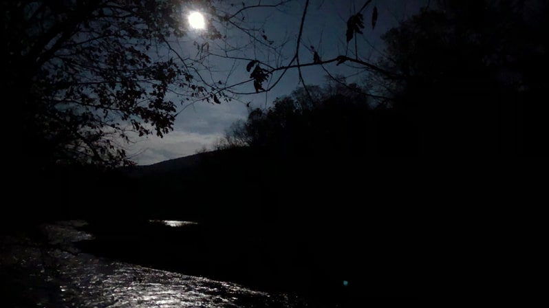 Nighttime photo of a full moon reflected in a stream bordered by trees.