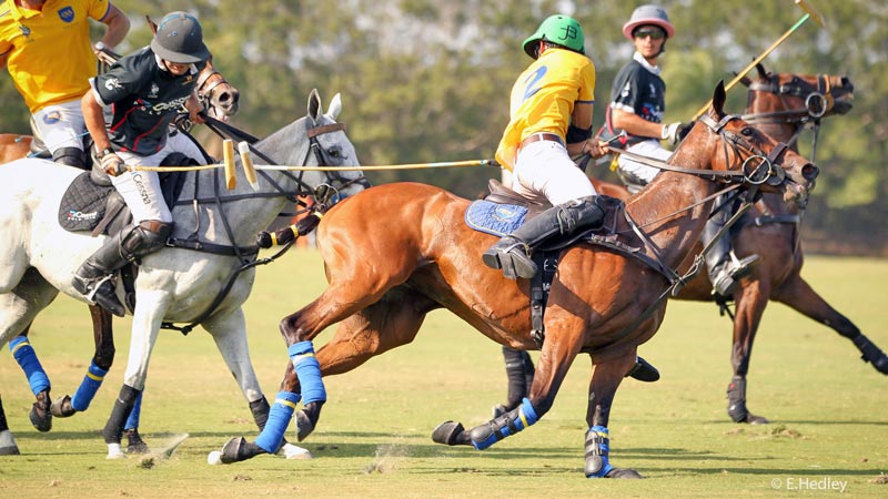 Four players vying for the chukka at Brandywine Polo Club.