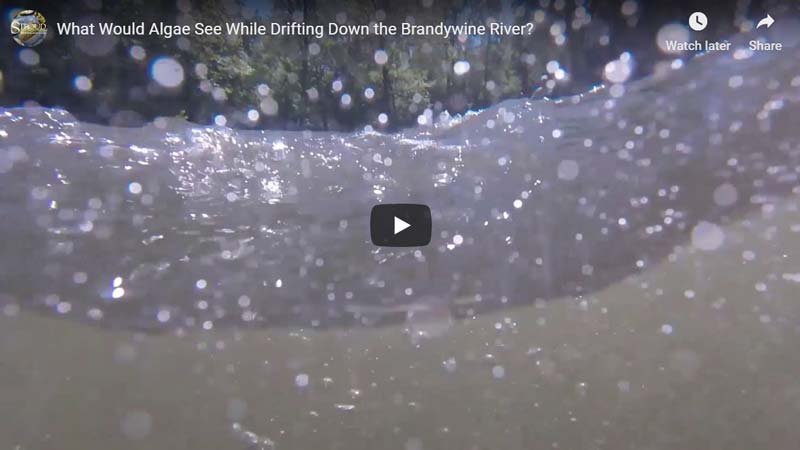 Float and Flow in the Brandywine