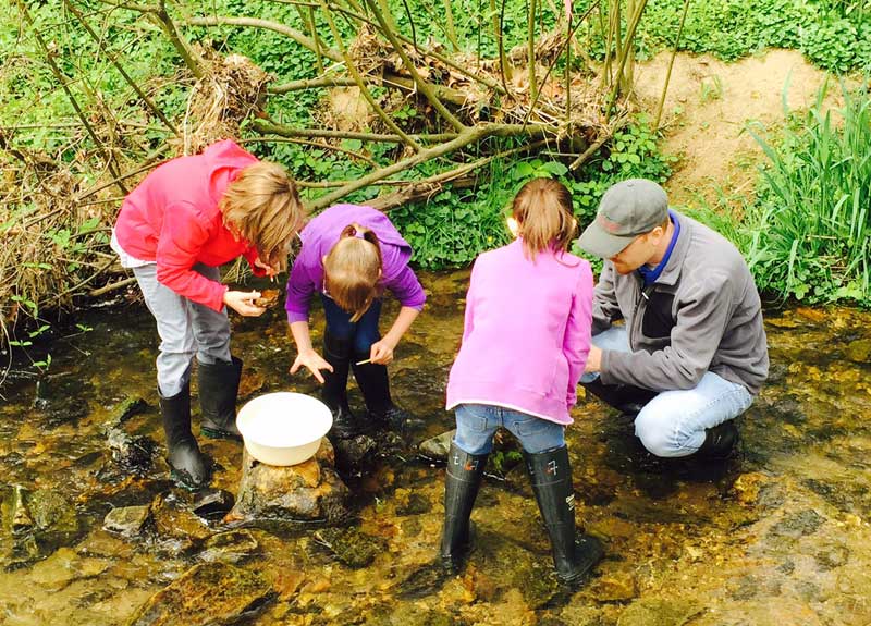 An adult and three children collecting macroinvertebrates in a stream.