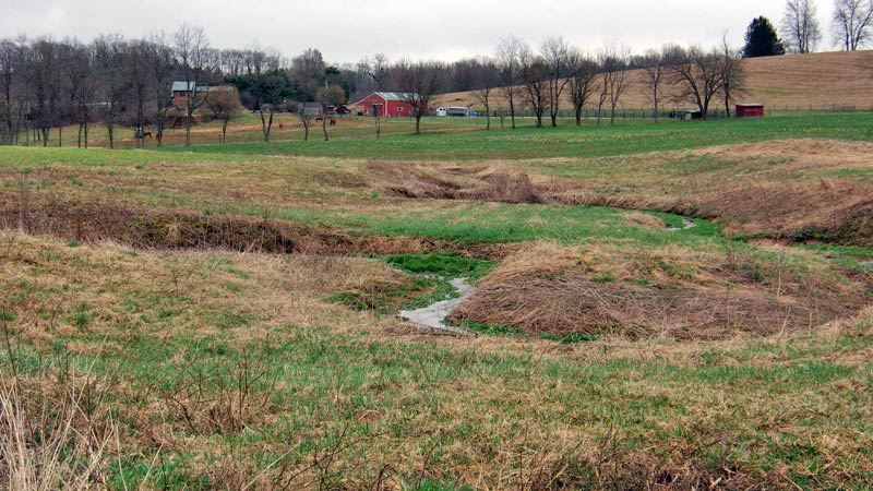 A small treeless stream on the Miller farm before installation of a riparian buffer.