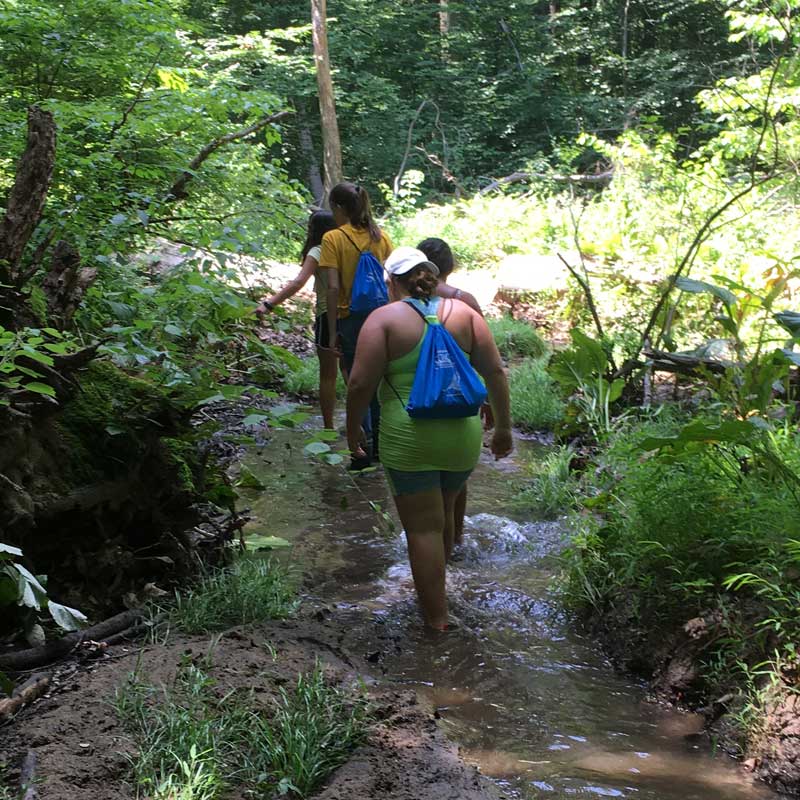 Creek Explorers taking a walk in the creek