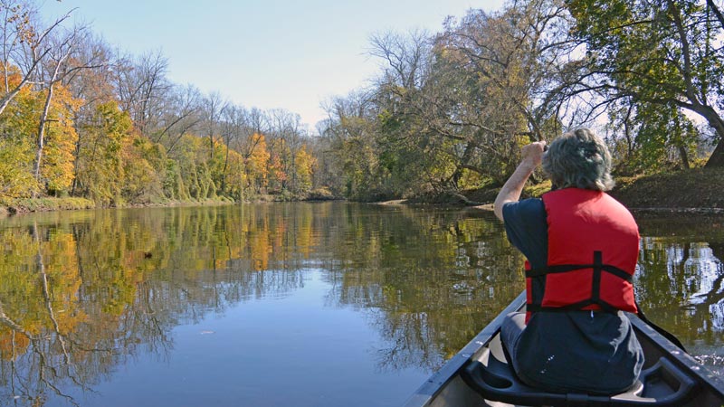 A person in a red life jacket paddling a canoe on a river surrounded by trees with fall foliage.