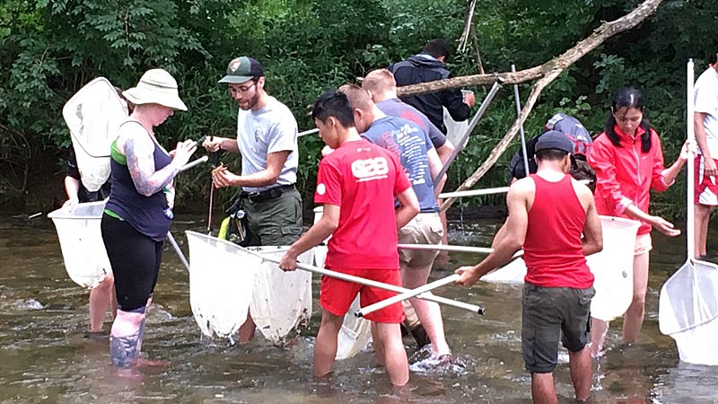 Teens and leaders catching crayfish near Valley Forge.
