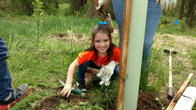 A child plants a tree in a riparian buffer.