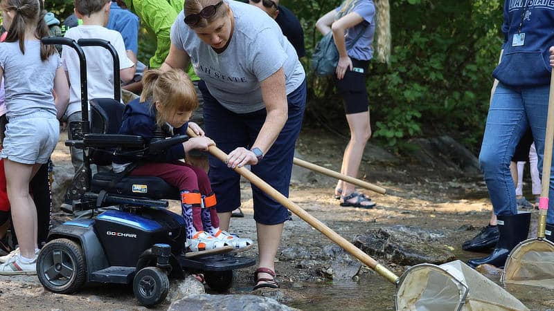 A child in a wheelchair uses a net to capture creek critters.