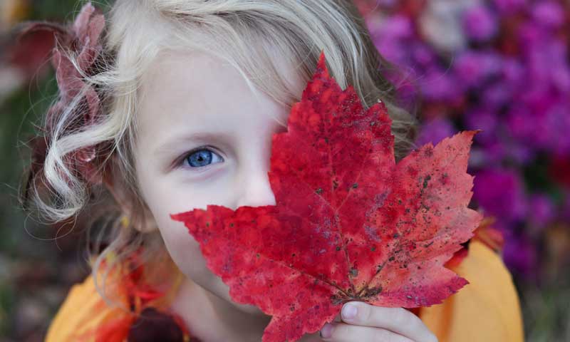 Child with leaf. Photo by Gabby Orcutt on Unsplash