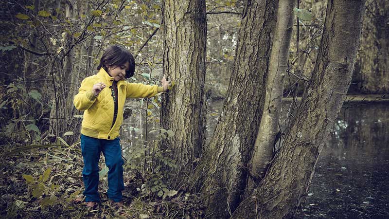 Child touching tree by Philippe Put, CC BY 2.0 license