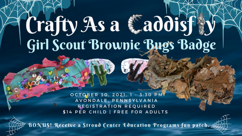 Crafty As a Caddisfly Brownie Bugs Badge 2021