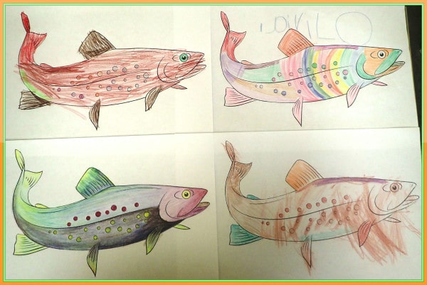 "Design your own trout" drawing