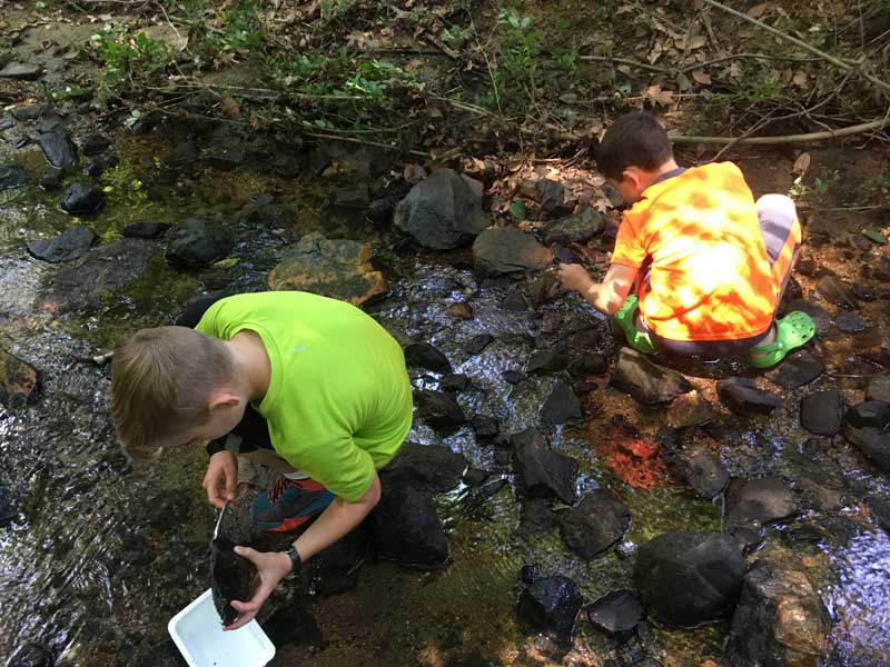 Kids in a stream at Creek Explorers camp.