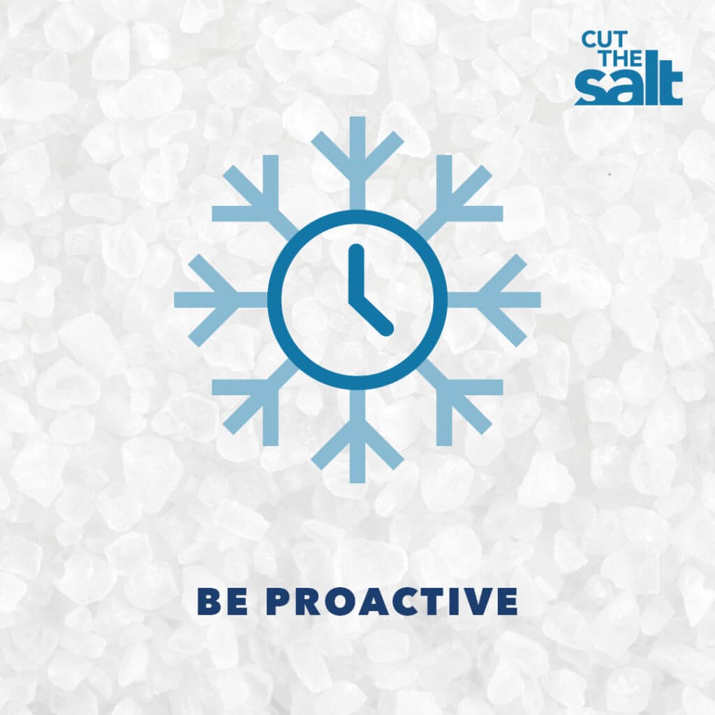 Cut the salt graphic: icon of a clock face at the center of a snowflake with the text, be proactive.