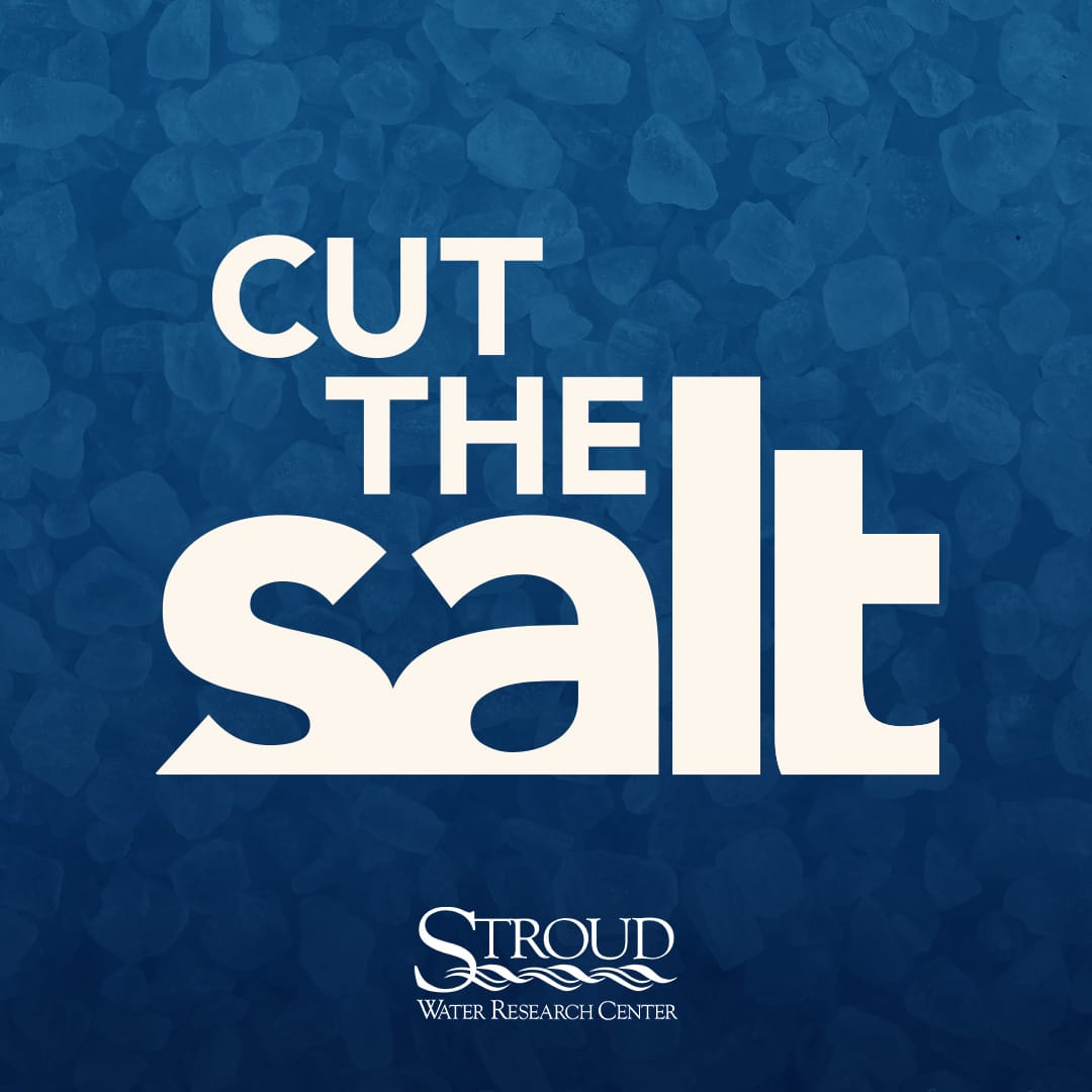 Cut the salt wordmark on a blue background with Stroud Center logo.