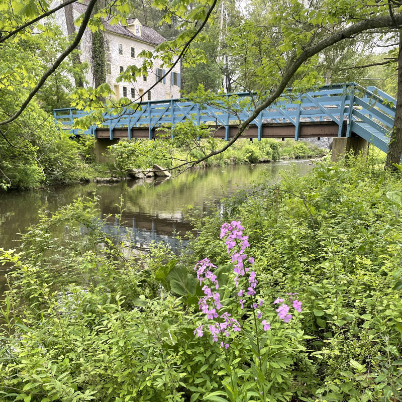 Darby Creek flows under a bright blue bridge near an old paper mill.